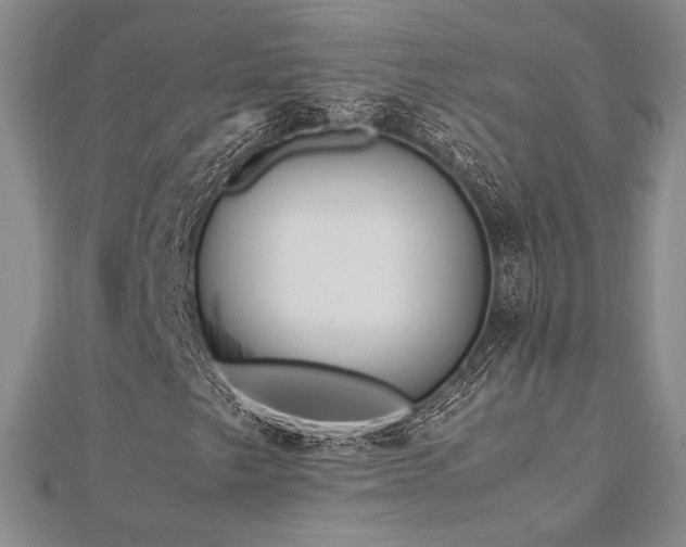 X0000113011249200908271401