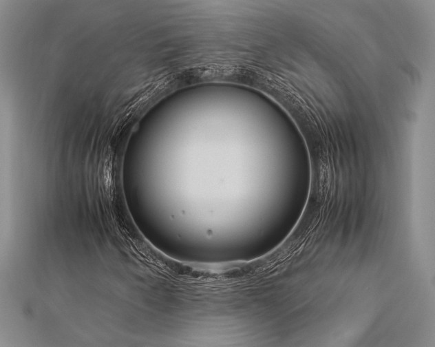 X0000113011250200908271401