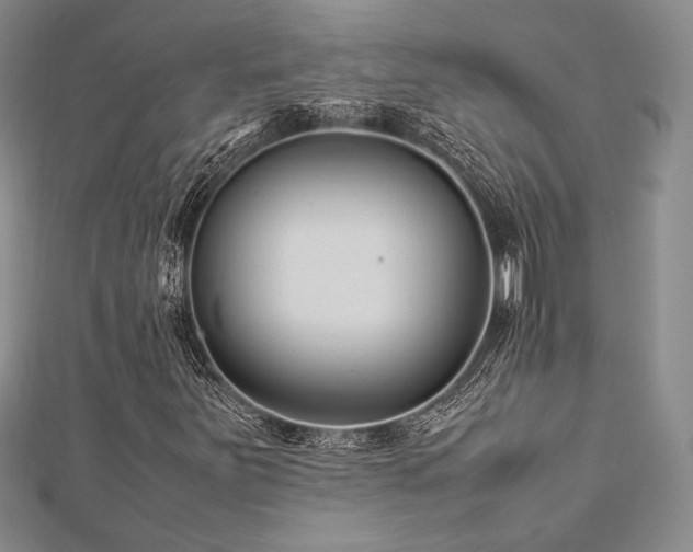 X0000113011251200908271401