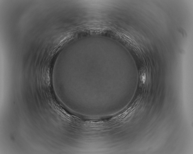 X0000113011252200908271401