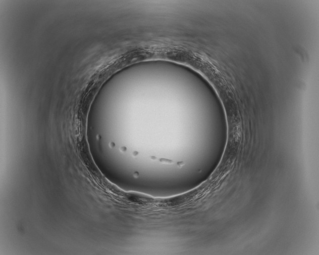 X0000113011253200908271401