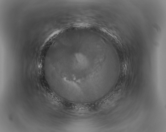 X0000113011254200908271401