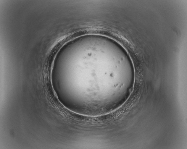 X0000113011255200908271401