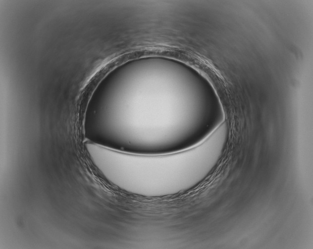 X0000113011256200908271401