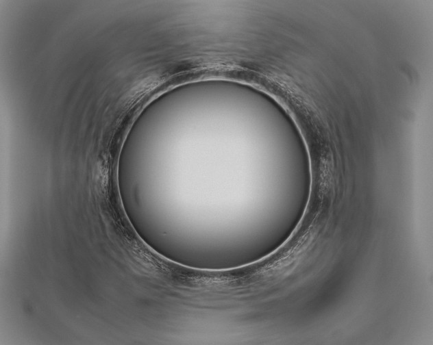 X0000113011257200908271401