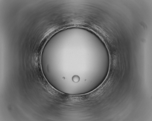 X0000113011258200908271401