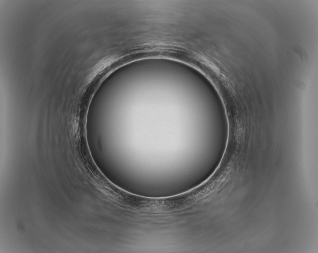 X0000113011259200908271401