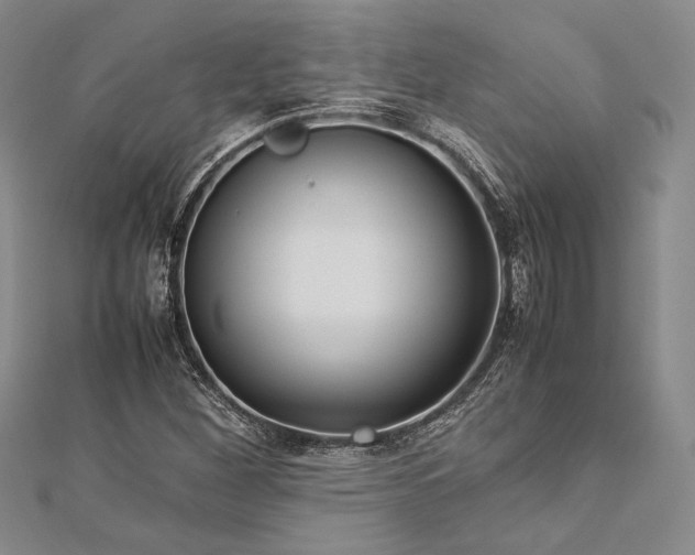 X0000113011260200908271401