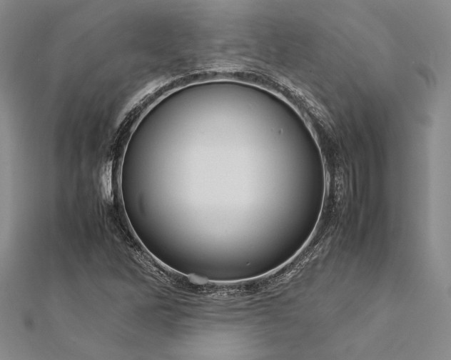 X0000113011262200908271401