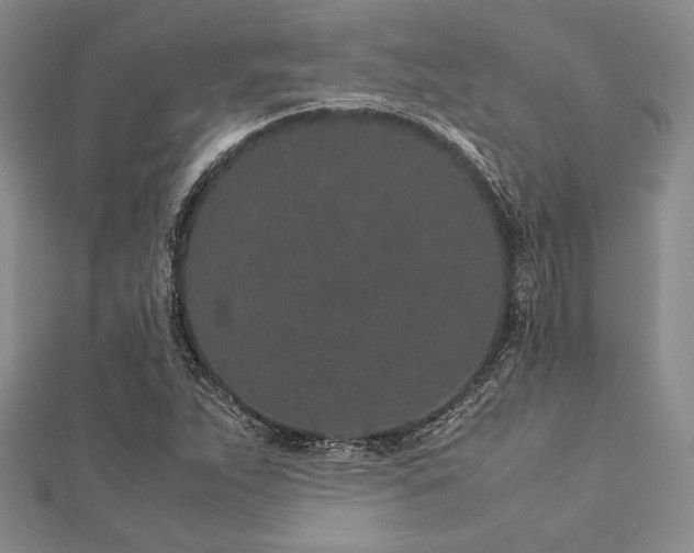 X0000113011263200908271401