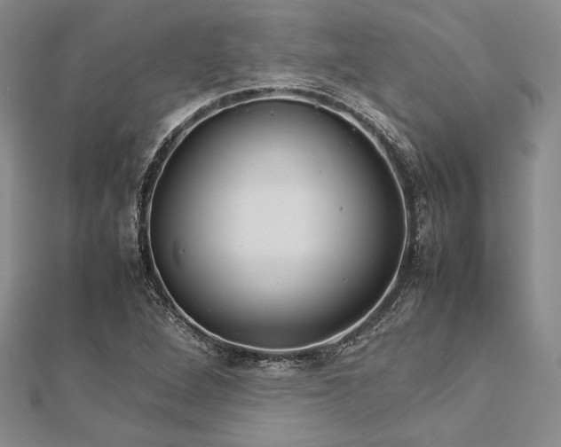 X0000113011264200908271401