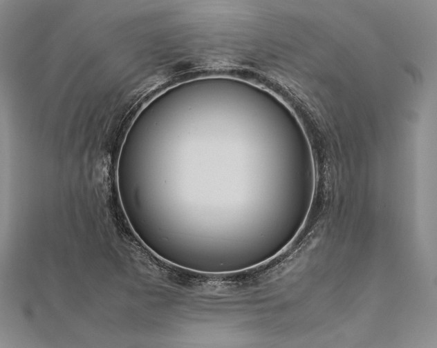 X0000113011265200908271401