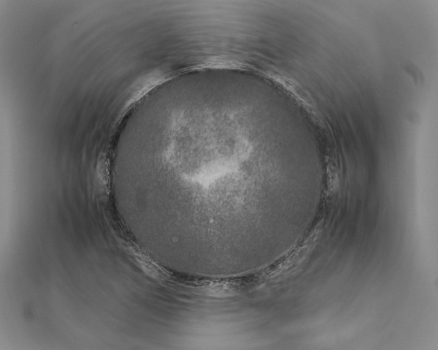 X0000113011266200908271401