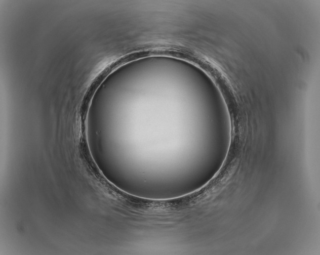 X0000113011267200908271401