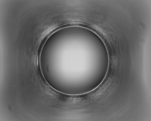 X0000113011269200908271401