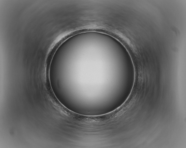 X0000113011270200908271401