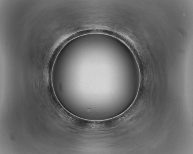 X0000113011271200908271401