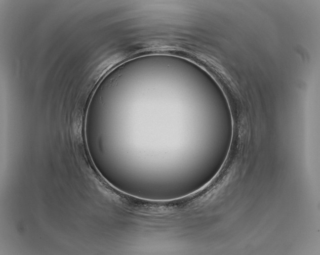 X0000113011273200908271401