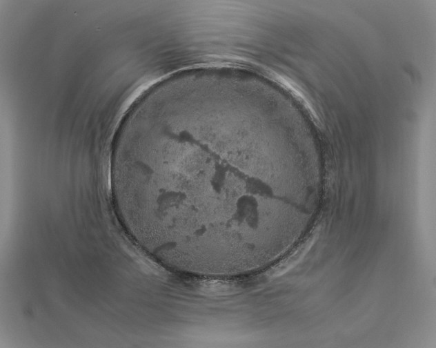 X0000113011275200908271401