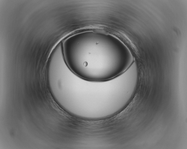 X0000113011276200908271401