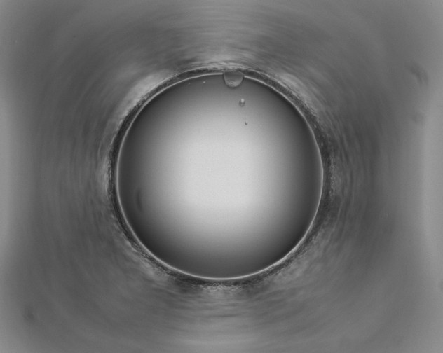 X0000113011277200908271401