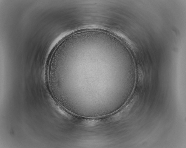 X0000113011278200908271401