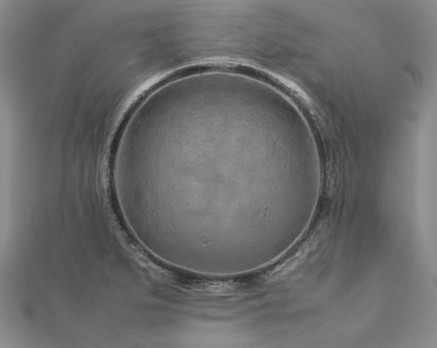 X0000113011279200908271401