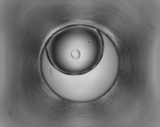 X0000113011280200908271401