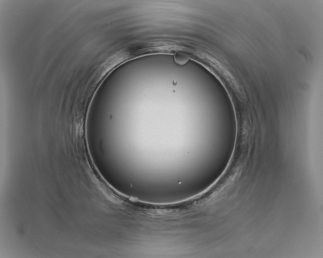 X0000113011281200908271401