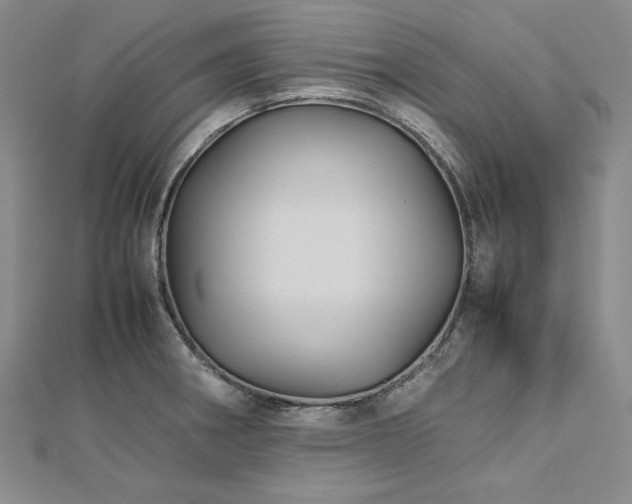 X0000113011282200908271401