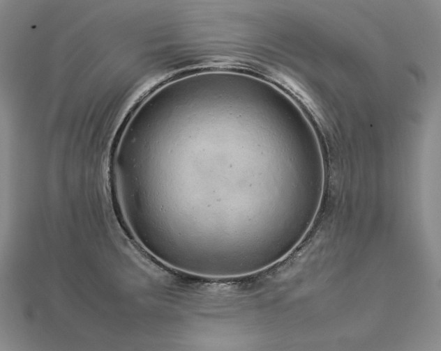 X0000113011283200908271401