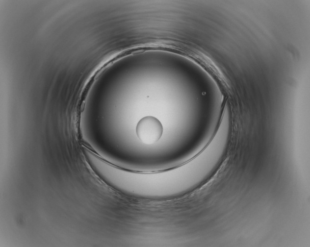 X0000113011284200908271401