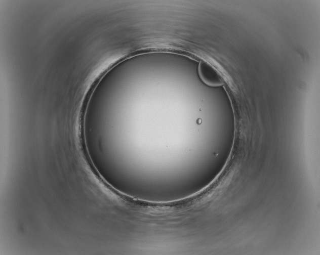 X0000113011285200908271400