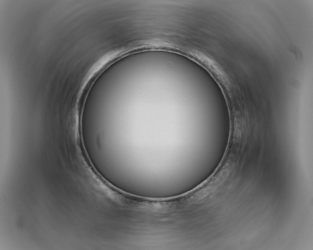 X0000113011286200908271400