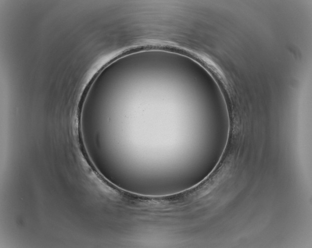 X0000113011287200908271400