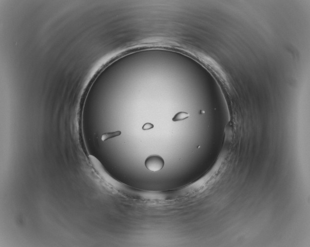 X0000113011288200908271400