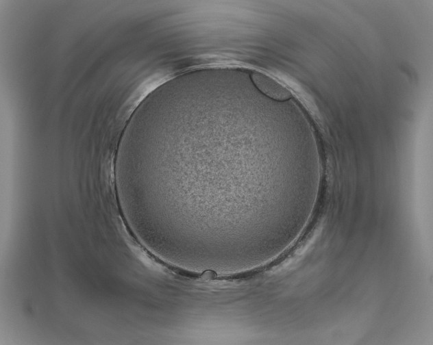 X0000113011289200908271400