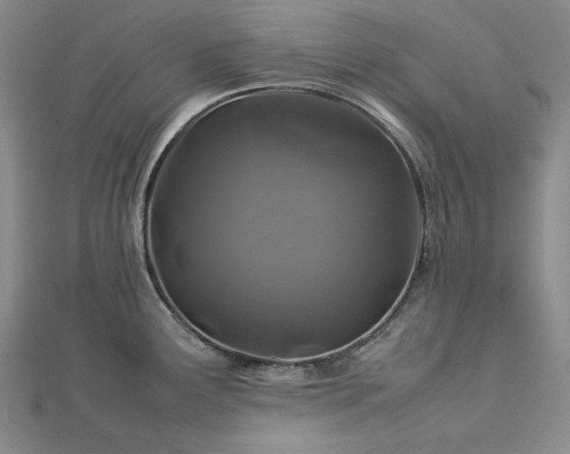 X0000113011291200908271400