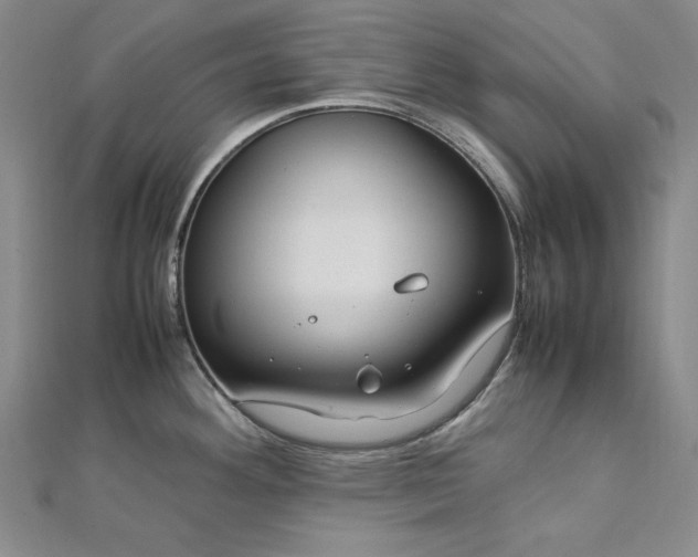 X0000113011292200908271400