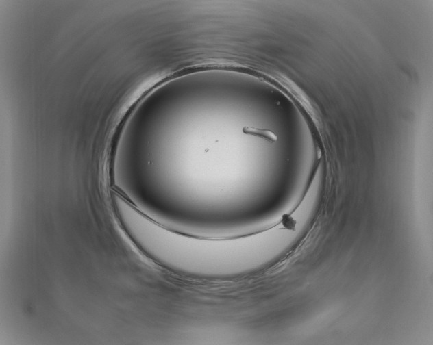 X0000113011293200908271400