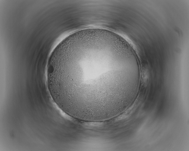 X0000113011294200908271400