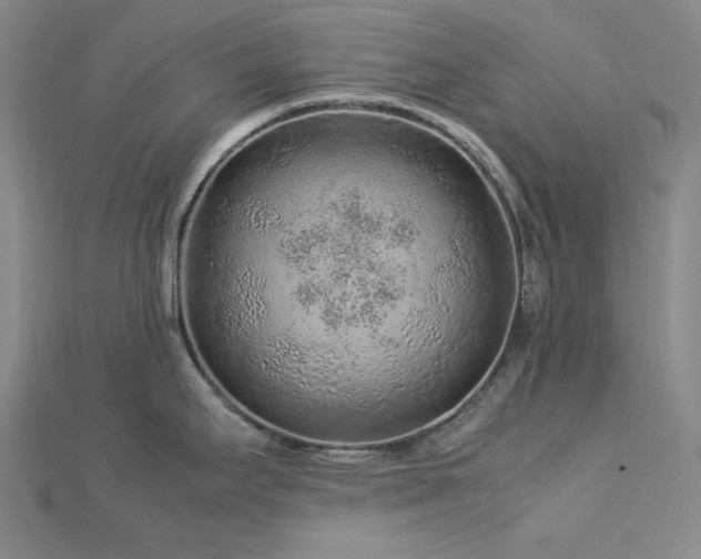 X0000113011295200908271400