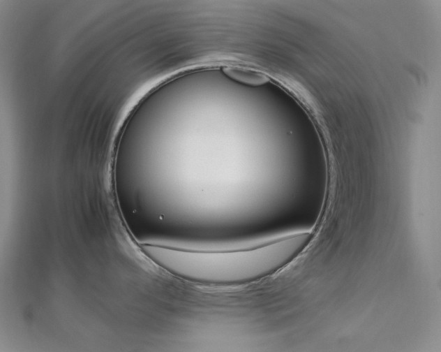 X0000113011296200908271400