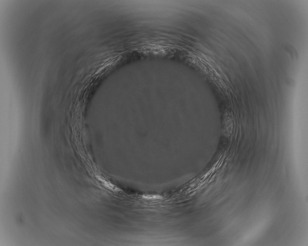 X0000113011297200908271400