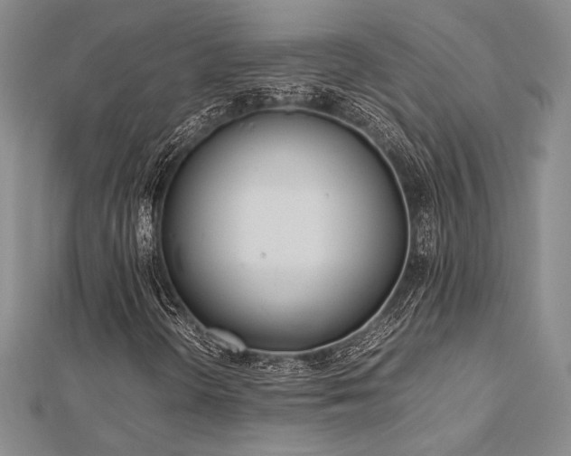 X0000113011298200908271400