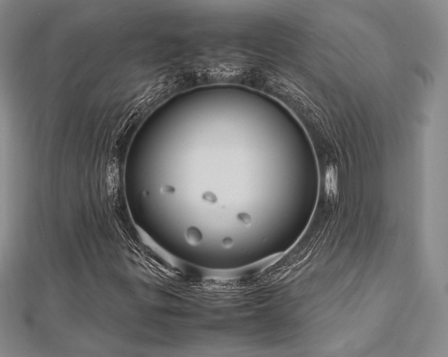 X0000113011299200908271400