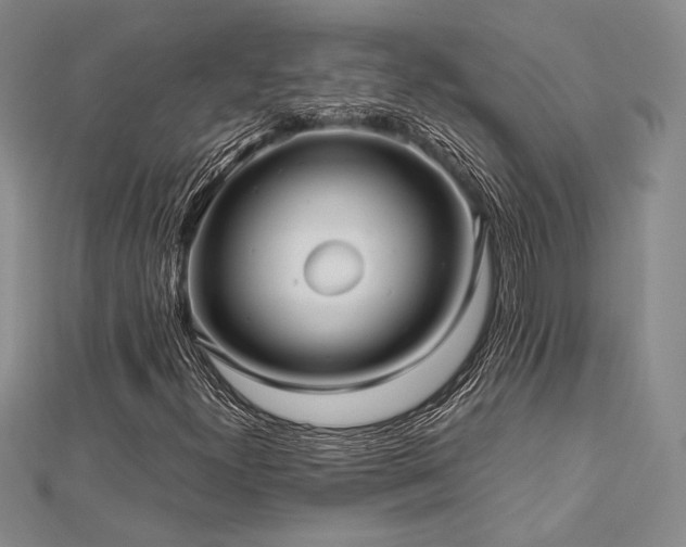 X0000113011300200908271400