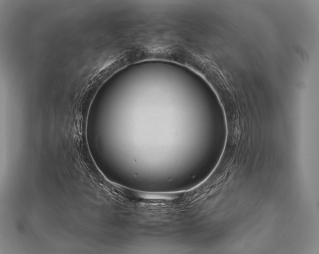 X0000113011301200908271400