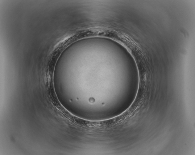 X0000113011302200908271400