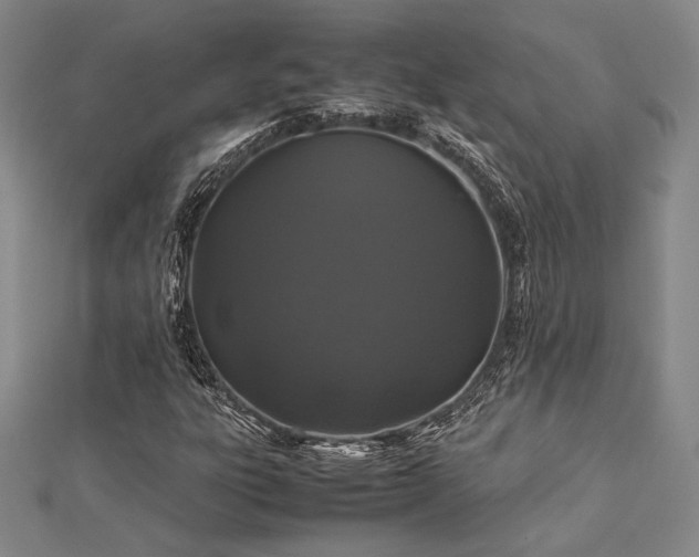 X0000113011303200908271400